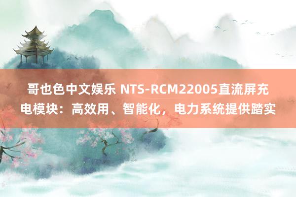 哥也色中文娱乐 NTS-RCM22005直流屏充电模块：高效用、智能化，电力系统提供踏实