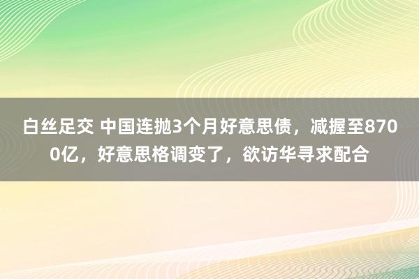 白丝足交 中国连抛3个月好意思债，减握至8700亿，好意思格调变了，欲访华寻求配合