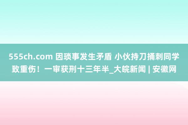 555ch.com 因琐事发生矛盾 小伙持刀捅刺同学致重伤！一审获刑十三年半_大皖新闻 | 安徽网