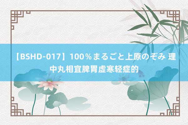 【BSHD-017】100％まるごと上原のぞみ 理中丸相宜脾胃虚寒轻症的