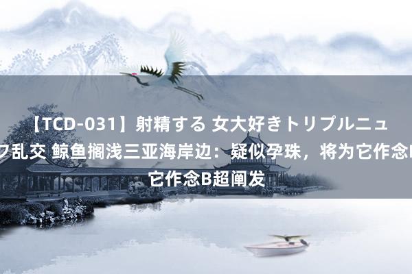 【TCD-031】射精する 女大好きトリプルニューハーフ乱交 鲸鱼搁浅三亚海岸边：疑似孕珠，将为它作念B超阐发