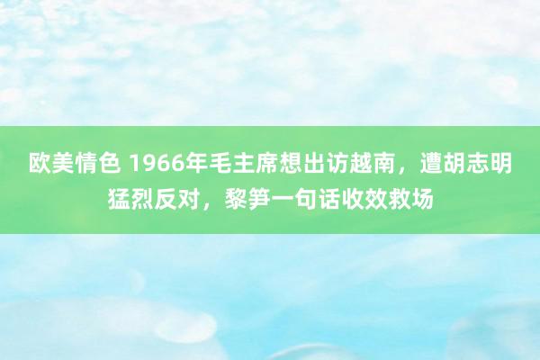 欧美情色 1966年毛主席想出访越南，遭胡志明猛烈反对，黎笋一句话收效救场