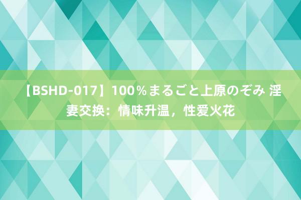 【BSHD-017】100％まるごと上原のぞみ 淫妻交换：情味升温，性爱火花