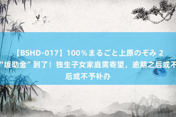 【BSHD-017】100％まるごと上原のぞみ 2024年“缓助金”到了！独生子女家庭需寄望，逾期之后或不予补办