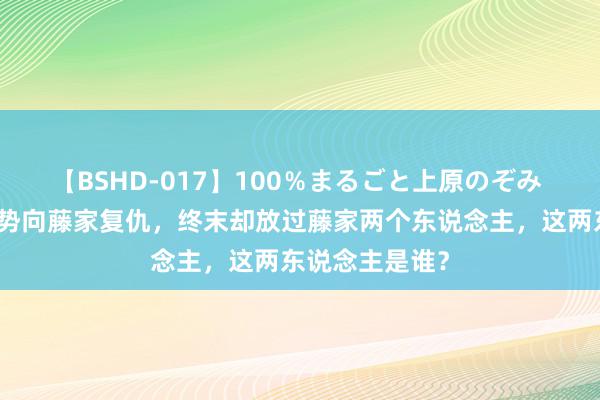 【BSHD-017】100％まるごと上原のぞみ 仙逆：王林强势向藤家复仇，终末却放过藤家两个东说念主，这两东说念主是谁？