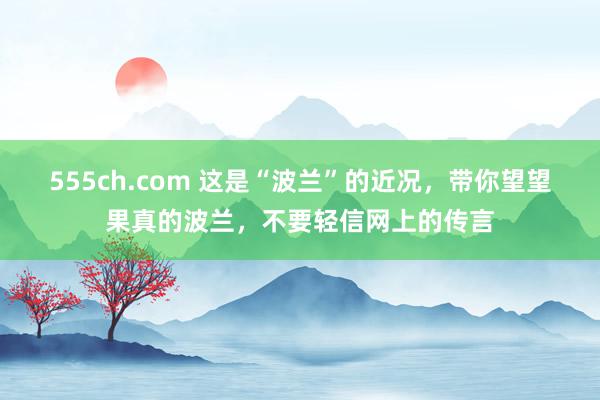 555ch.com 这是“波兰”的近况，带你望望果真的波兰，不要轻信网上的传言