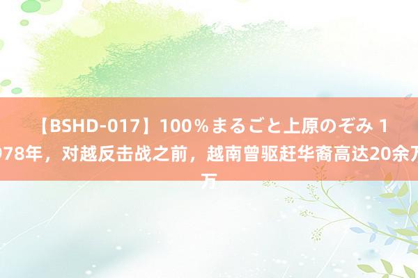 【BSHD-017】100％まるごと上原のぞみ 1978年，对越反击战之前，越南曾驱赶华裔高达20余万