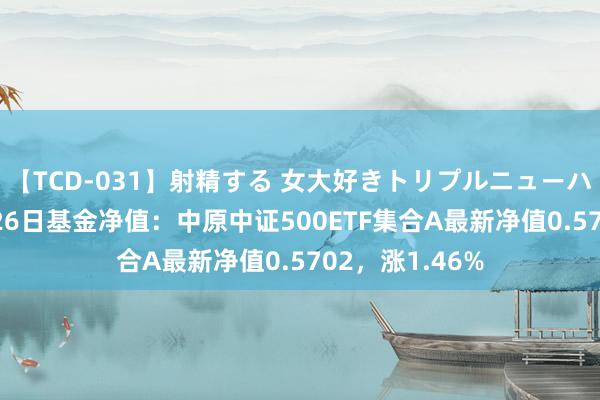 【TCD-031】射精する 女大好きトリプルニューハーフ乱交 7月26日基金净值：中原中证500ETF集合A最新净值0.5702，涨1.46%