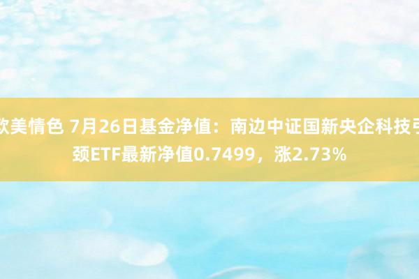 欧美情色 7月26日基金净值：南边中证国新央企科技引颈ETF最新净值0.7499，涨2.73%