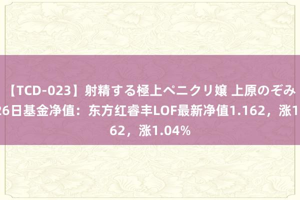 【TCD-023】射精する極上ペニクリ嬢 上原のぞみ 7月26日基金净值：东方红睿丰LOF最新净值1.162，涨1.04%