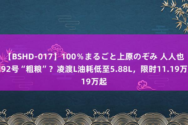 【BSHD-017】100％まるごと上原のぞみ 人人也吃92号“粗粮”？凌渡L油耗低至5.88L，限时11.19万起