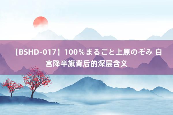 【BSHD-017】100％まるごと上原のぞみ 白宫降半旗背后的深层含义