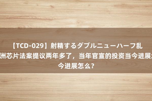 【TCD-029】射精するダブルニューハーフ乱交 欧洲芯片法案提议两年多了，当年官宣的投资当今进展怎么？