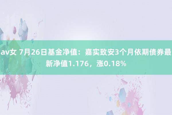 av女 7月26日基金净值：嘉实致安3个月依期债券最新净值1.176，涨0.18%