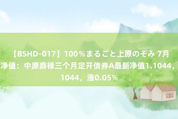 【BSHD-017】100％まるごと上原のぞみ 7月26日基金净值：中原鼎禄三个月定开债券A最新净值1.1044，涨0.05%