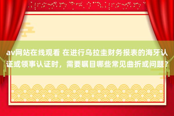 av网站在线观看 在进行乌拉圭财务报表的海牙认证或领事认证时，需要瞩目哪些常见曲折或问题？