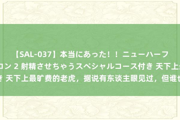 【SAL-037】本当にあった！！ニューハーフ御用達 性感エステサロン 2 射精させちゃうスペシャルコース付き 天下上最旷费的老虎，据说有东谈主眼见过，但谁也省略情它是否存在