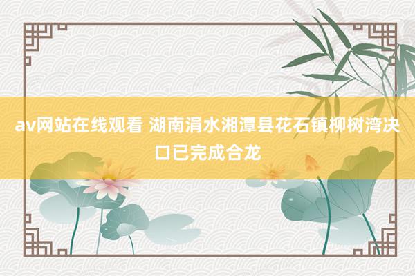 av网站在线观看 湖南涓水湘潭县花石镇柳树湾决口已完成合龙