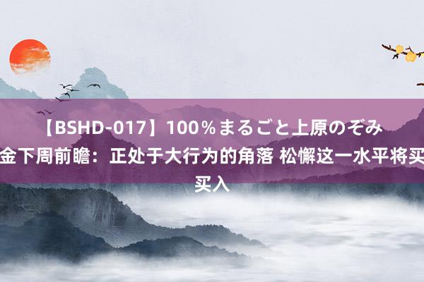 【BSHD-017】100％まるごと上原のぞみ 黄金下周前瞻：正处于大行为的角落 松懈这一水平将买入