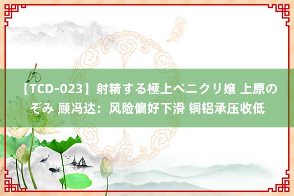 【TCD-023】射精する極上ペニクリ嬢 上原のぞみ 顾冯达：风险偏好下滑 铜铝承压收低