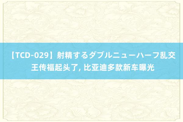 【TCD-029】射精するダブルニューハーフ乱交 王传福起头了, 比亚迪多款新车曝光