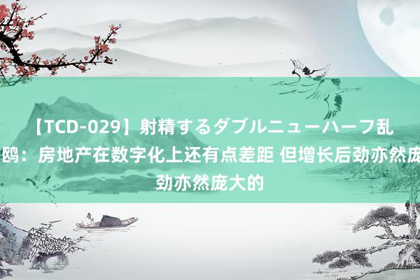 【TCD-029】射精するダブルニューハーフ乱交 杨鸥：房地产在数字化上还有点差距 但增长后劲亦然庞大的