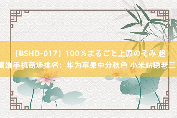 【BSHD-017】100％まるごと上原のぞみ 超高端手机商场排名：华为苹果中分秋色 小米站稳老三？