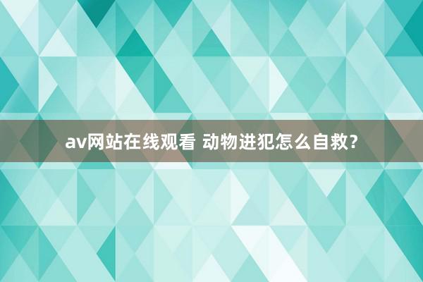 av网站在线观看 动物进犯怎么自救？