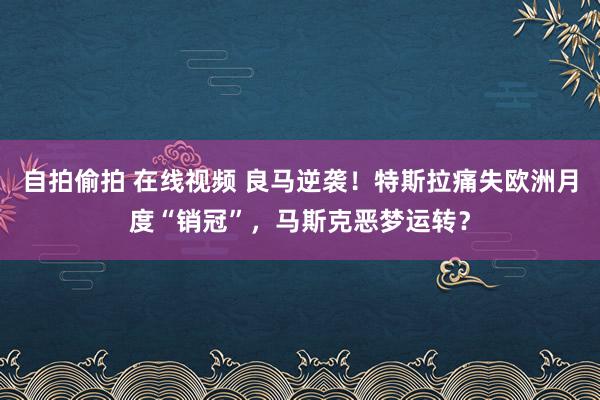 自拍偷拍 在线视频 良马逆袭！特斯拉痛失欧洲月度“销冠”，马斯克恶梦运转？