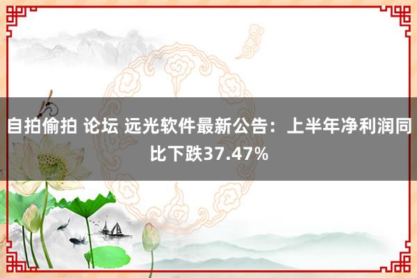 自拍偷拍 论坛 远光软件最新公告：上半年净利润同比下跌37.47%