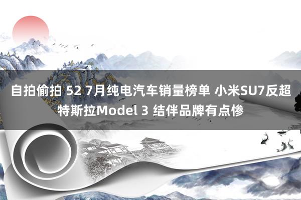 自拍偷拍 52 7月纯电汽车销量榜单 小米SU7反超特斯拉Model 3 结伴品牌有点惨